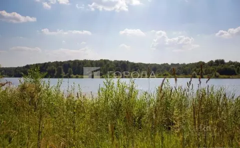 Участок в Новосибирская область, Новосибирский район, Березовский ...