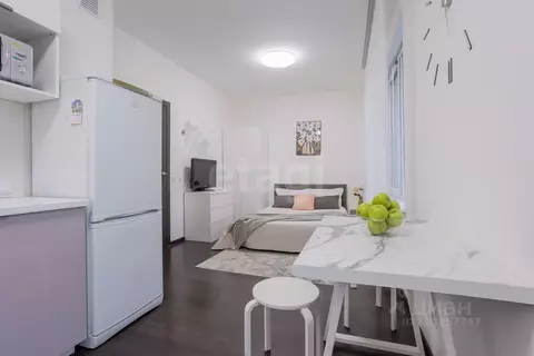 Студия Санкт-Петербург ул. Верхне-Каменская, 9к1 (28.3 м)