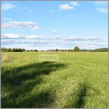 Участок в Ленинградская область, Кировский район, Шумское с/пос, д. ...