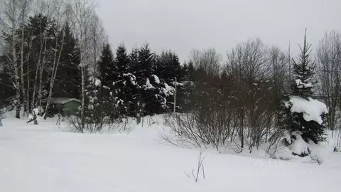 Участок в Московская область, Рузский муниципальный округ, д. Верхнее ...