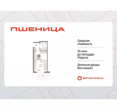 Квартира-студия: Новосибирский район, рабочий посёлок Краснообск, 3-й ...