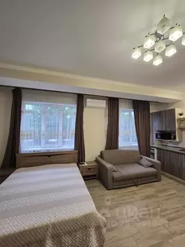 Студия Ставропольский край, Ессентуки ул. Фрунзе, 51 (30.0 м)
