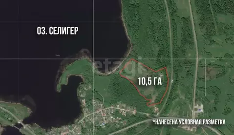 Участок в Тверская область, Осташков Нижние Рудины кв-л,  (1046.0 ...