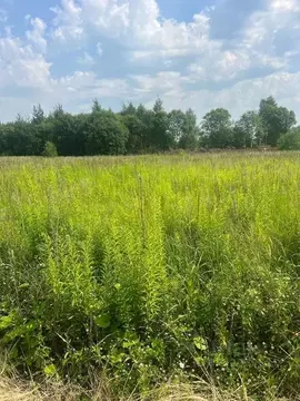 Участок в Московская область, Раменский муниципальный округ, Заречье ...