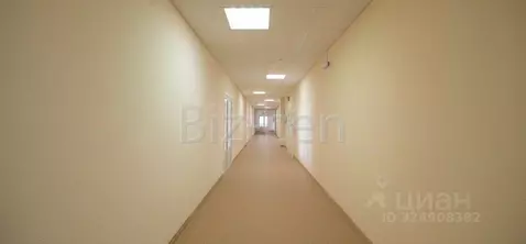 Офис в Санкт-Петербург ул. Бабушкина, 3 (66 м)