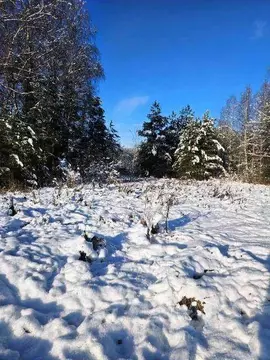 Участок в Владимирская область, Киржачский муниципальный округ, д. ...