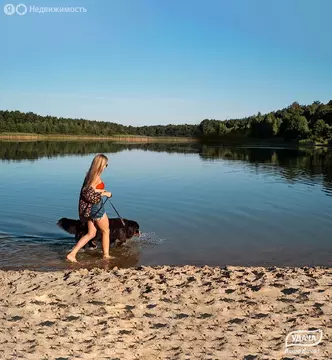 Участок в Московская область, городской округ Щёлково, КП Море (4.31 ...