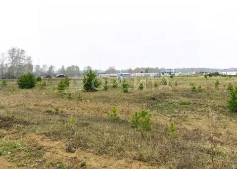 Участок в Тюменская область, Тюменский муниципальный округ, с. Кулига  ...