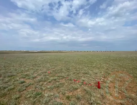 Участок в Крым, Сакский район, Штормовское с/пос, с. Приветное  (6.0 ...