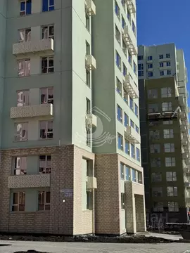 Студия Алтайский край, Барнаул городской округ, Южный рп тракт Южный, ...