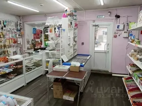 Торговая площадь в Амурская область, Шимановск ул. Ленина, 25 (46 м)