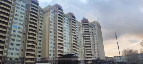 2-к кв. Санкт-Петербург Ново-Александровская ул., 14 (66.4 м)