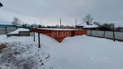 Участок в Саратовская область, Балашов Пугачевская ул., 186 (7.0 сот.)