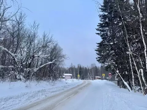 Участок в Пермский край, Добрянка  (500.0 сот.)