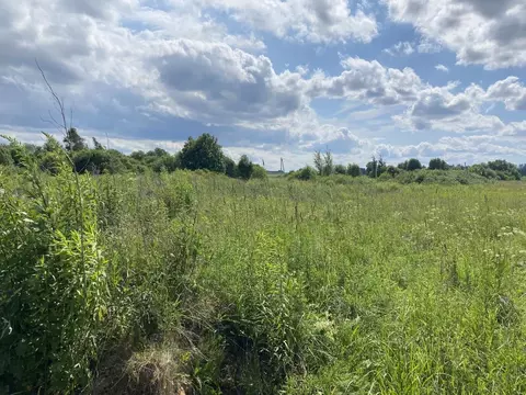 Участок в Ярославская область, Ярославский муниципальный округ, д. ...