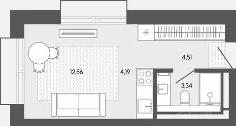 Студия Алтай, Майминский район, пос. Карлушка  (24.6 м)