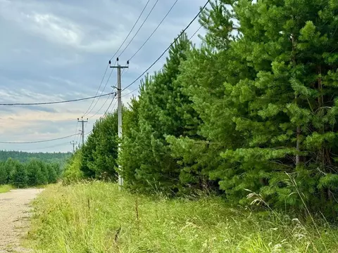 Участок в Свердловская область, Полевской муниципальный округ, с. ...