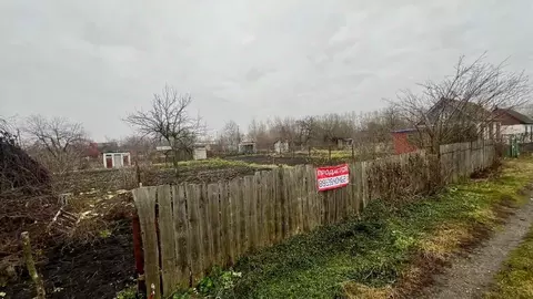 Участок в Липецкая область, Грязи Заря СНТ,  (5.5 сот.)