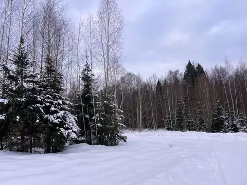 Участок в Московская область, Дмитровский муниципальный округ, Сбоево ...