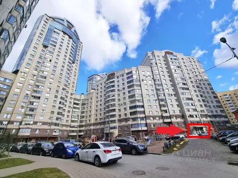 Помещение свободного назначения в Санкт-Петербург просп. Луначарского, ...