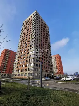 Студия Калужская область, Калуга ул. 65 лет Победы, 21 (25.2 м)