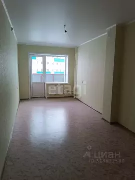 2-к кв. Алтайский край, Бийск ул. Михаила Митрофанова, 2/1 (41.7 м)