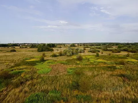 Участок в Калининградская область, Гурьевский муниципальный округ, ...