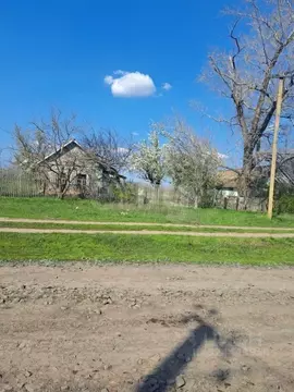 Участок в Ростовская область, Веселовский район, Позднеевское с/пос, ...