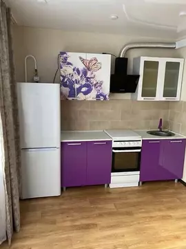 Студия Челябинская область, Миасс ул. Колесова, 1 (25.0 м)