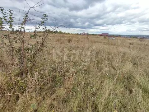 Участок в Воронежская область, Рамонский район, Новоживотинновское ...