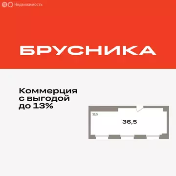Помещение свободного назначения (36.5 м)