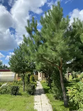 Дом в Омская область, Омск СОСН Энергетик-1 тер.,  (60 м)