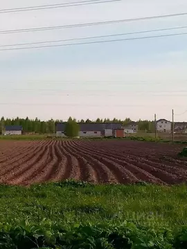 Участок в Новгородская область, Новгородский район, Бронницкое с/пос, ...