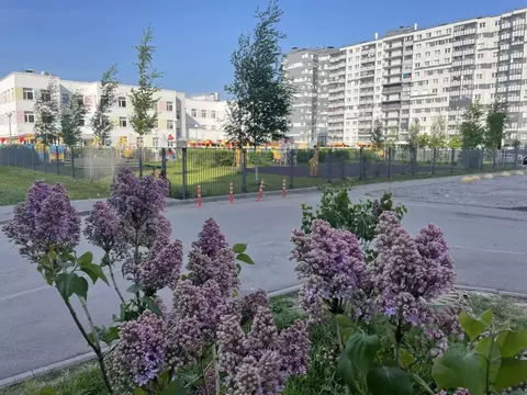 1-к кв. Санкт-Петербург Пискаревский просп., 145к6 (30.7 м)