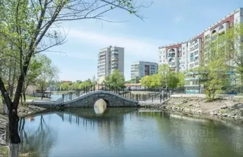 2-к кв. Амурская область, Благовещенск ул. Калинина, 132 (52.4 м)