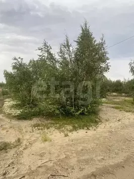 Участок в Ямало-Ненецкий АО, Новый Уренгой Фемида СНТ, ул. 1-я ...