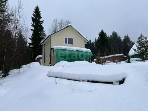 Дом в Архангельская область, Приморский муниципальный округ, Негино ...