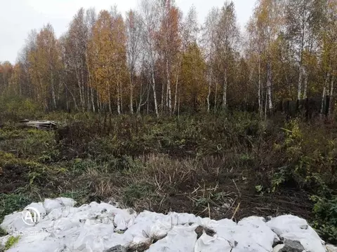 Участок в Тюменская область, Тюмень Плодовое СНТ, ул. Центральная (8.5 ...