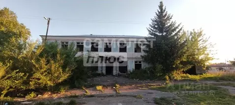 Помещение свободного назначения в Алтайский край, Заринск ул. ...