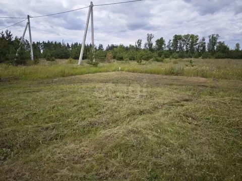 Участок в Белгородская область, Старый Оскол ул. Новаторов (16.0 сот.)