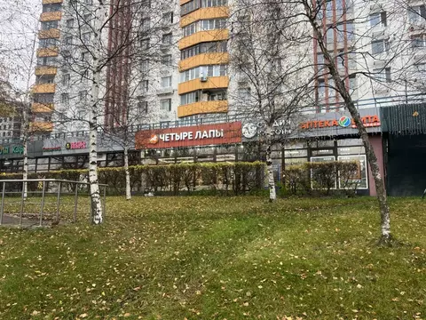 Торговая площадь в Москва Славянский бул., 9К1 (202 м)