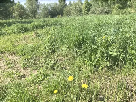 Участок в Костромская область, Костромской район, Чернопенское с/пос, ...