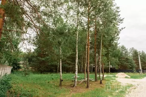 Участок в Рязанская область, Спасский район, Панинское с/пос, Искра ...