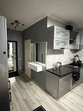 Студия Московская область, Долгопрудный Парковая ул., 54 (25.0 м)