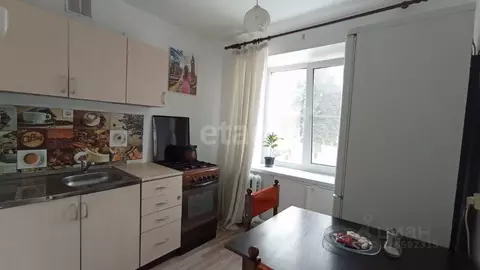 1-к кв. Челябинская область, Челябинск пос. Шершни, ул. Гидрострой, 2 ...