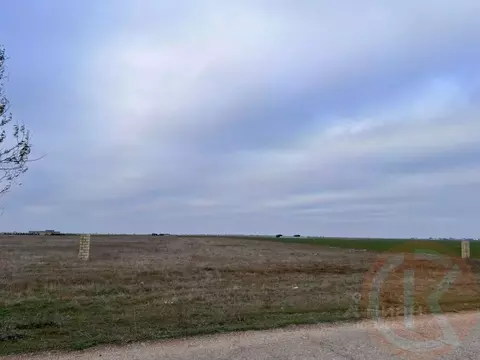 Участок в Крым, Сакский район, с. Штормовое  (6.0 сот.)