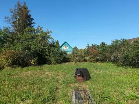 Участок в Ленинградская область, Киришский район, Кусинское с/пос, ...