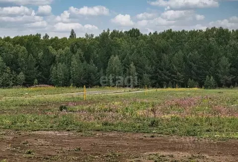 Участок в Калужская область, Жуковский район, с. Высокиничи  (10.0 ...