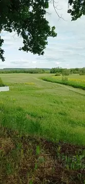 Участок в Пермский край, Пермский район, пос. Красный Восход  (10.0 ...