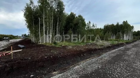 Участок в Тюменская область, Тюмень Строитель-1 СНТ, ул. Энергетиков, ...